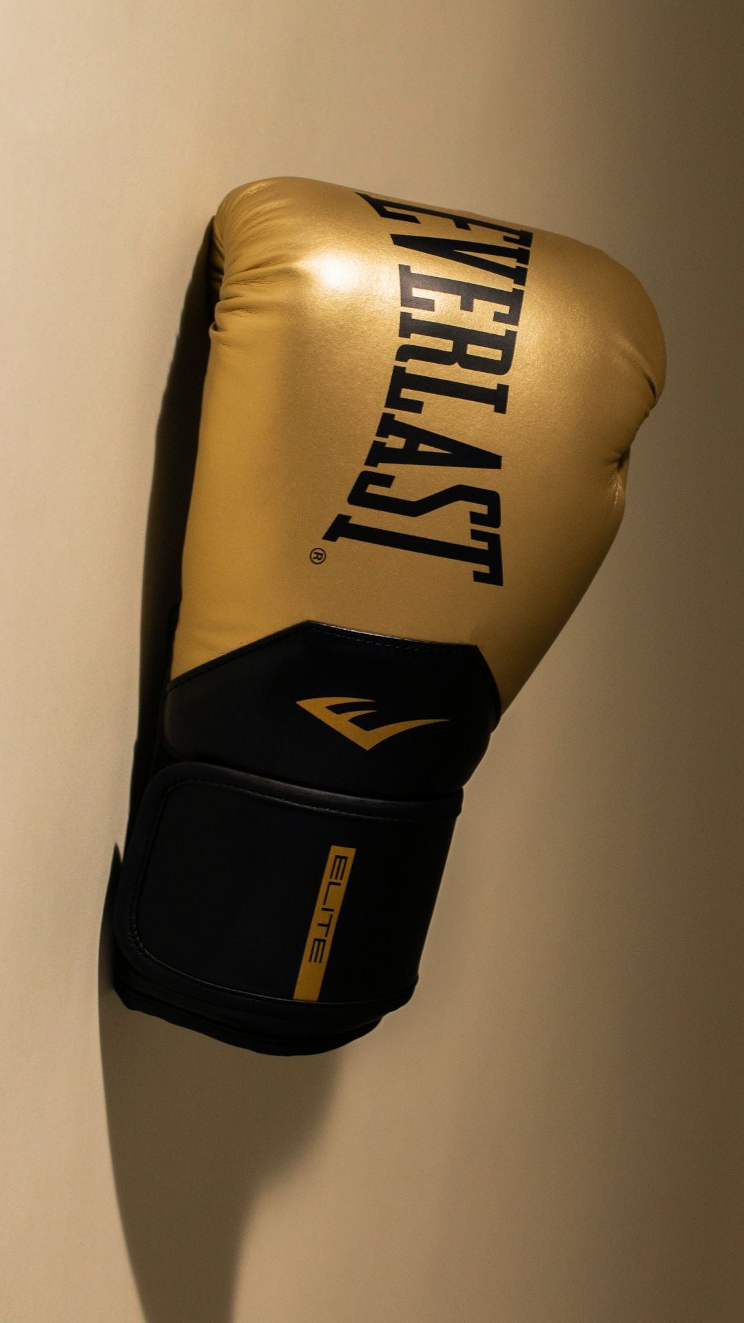 Kit World Champion Dorado