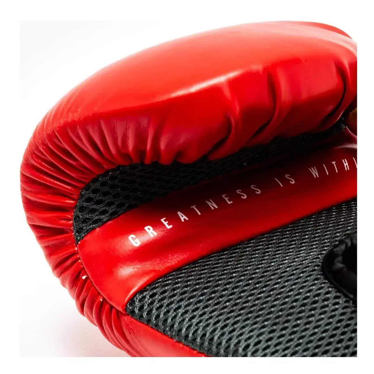 Guantes de Box Elite 1 Rojo Everlast