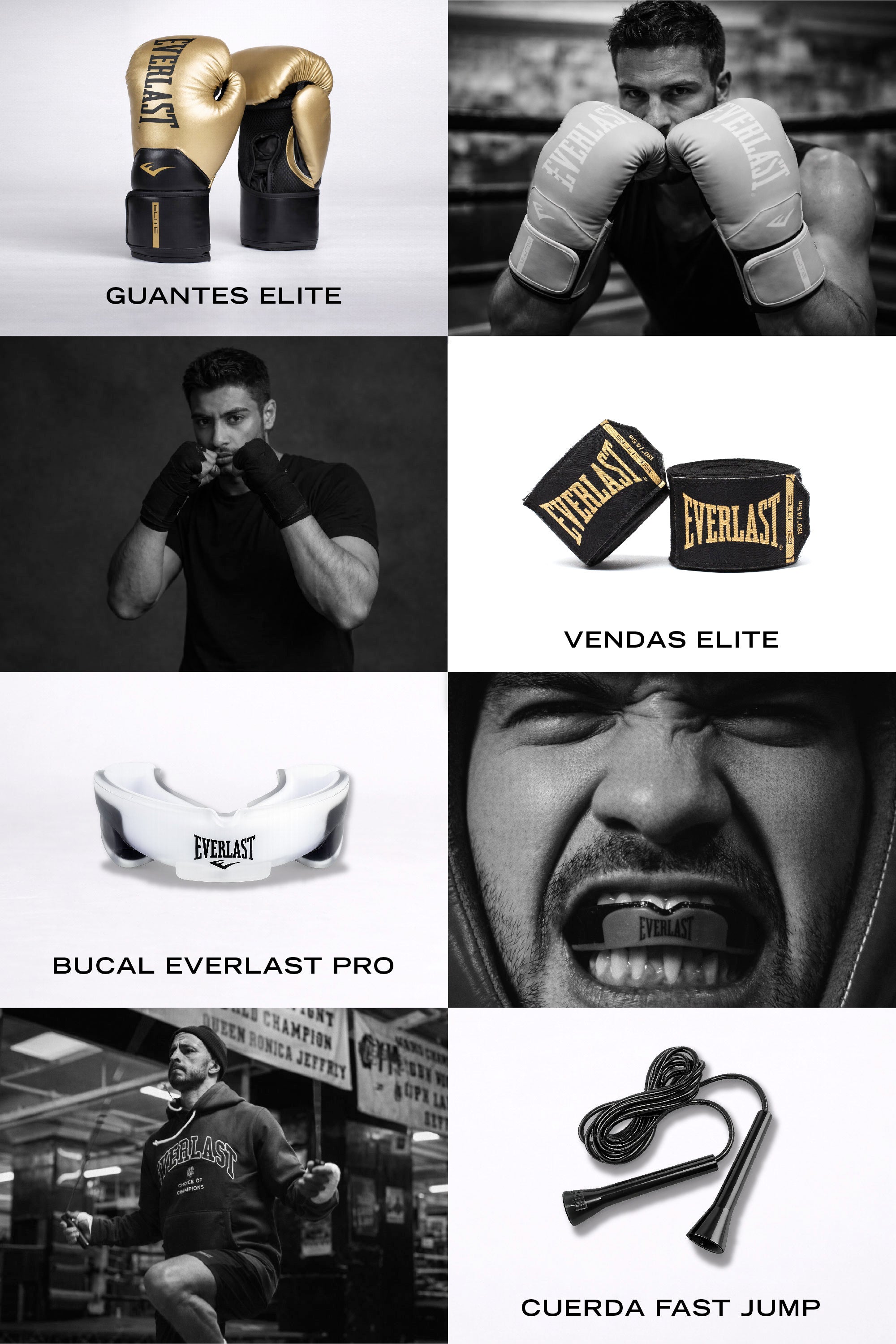 Kit World Champion Dorado