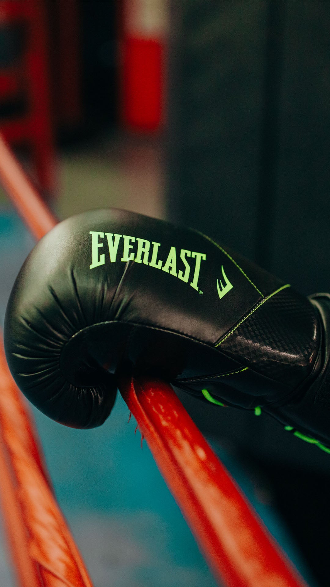 Guantes de Boxeo Protex Verde Everlast
