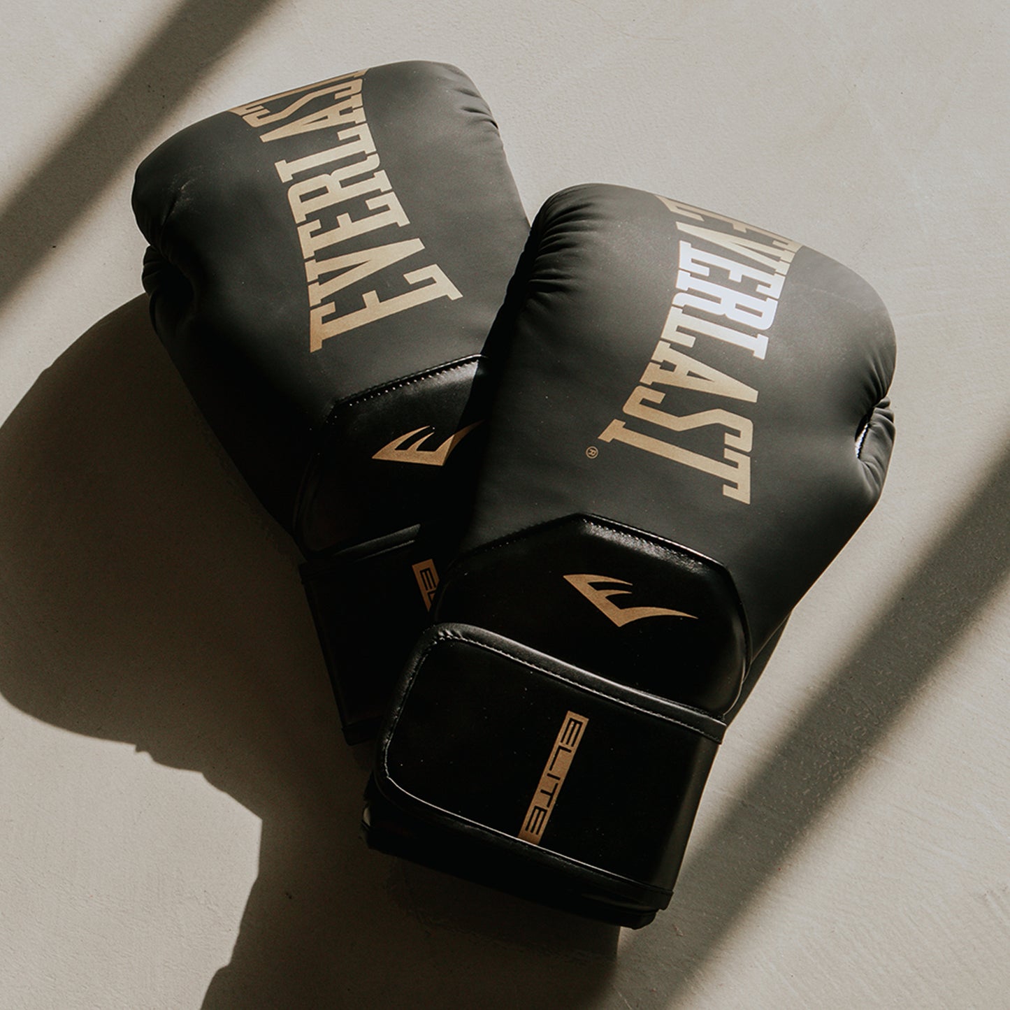Guantes de Box Elite 2 Negro Everlast