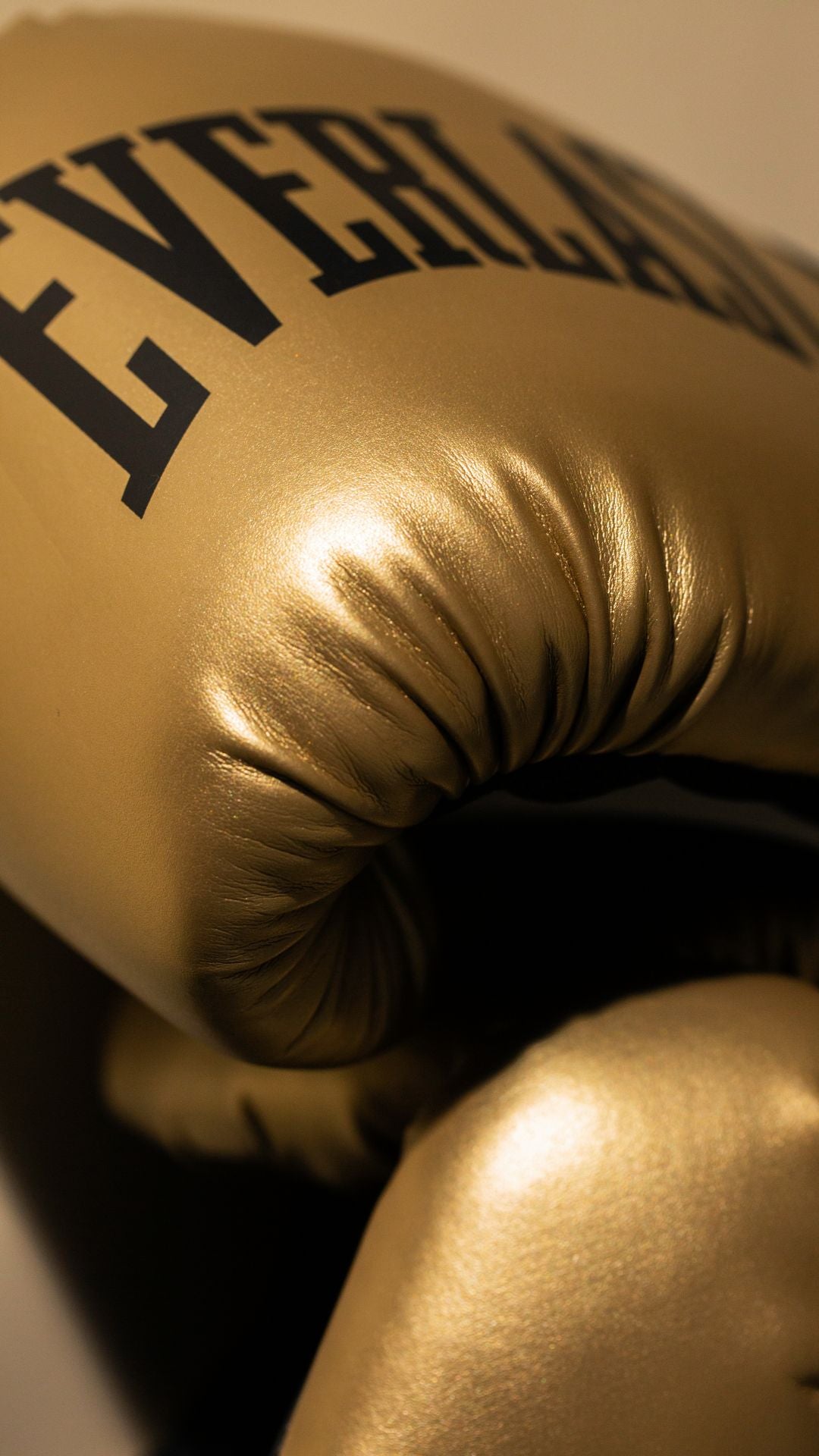 Kit World Champion Dorado