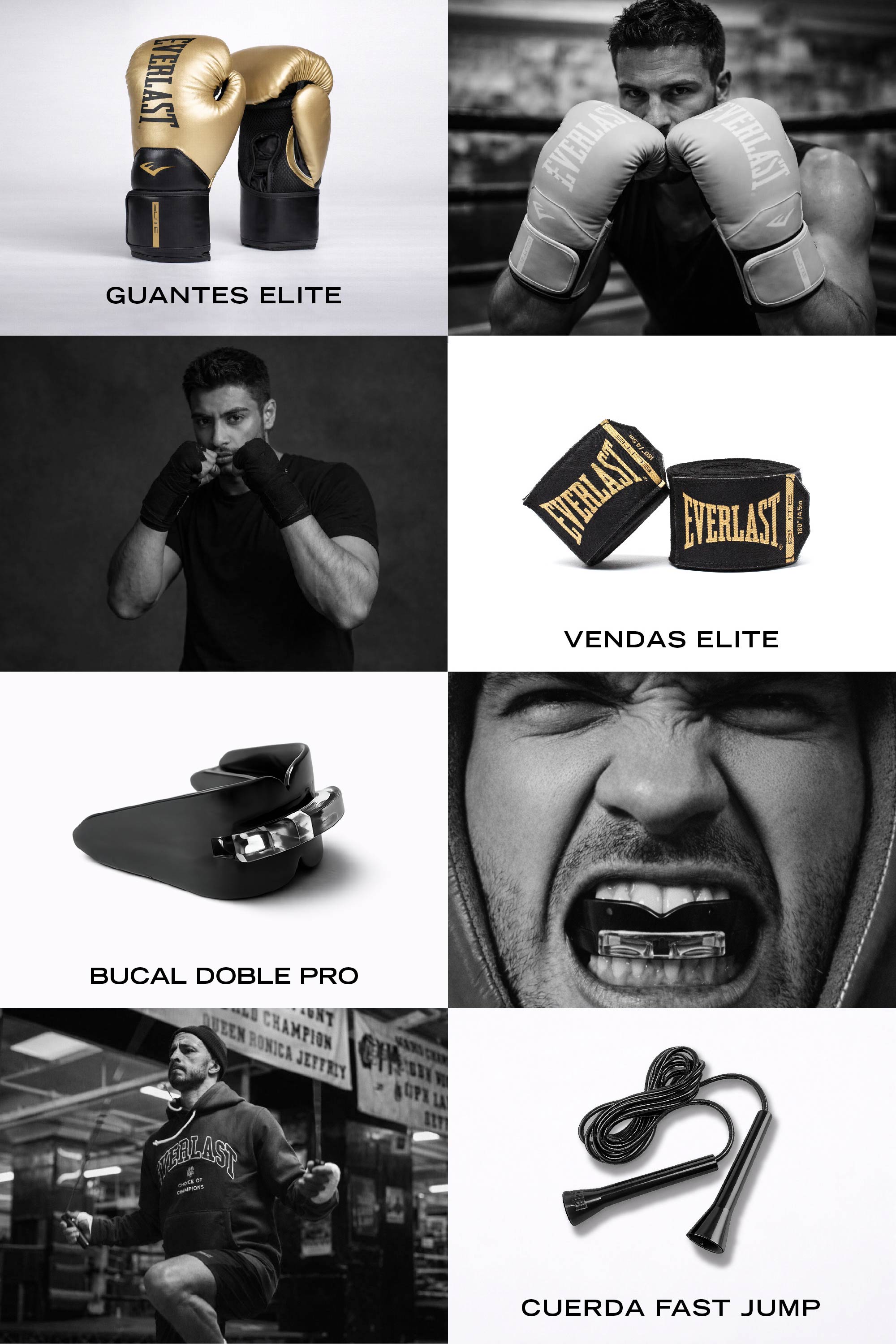 Kit World Champion Dorado