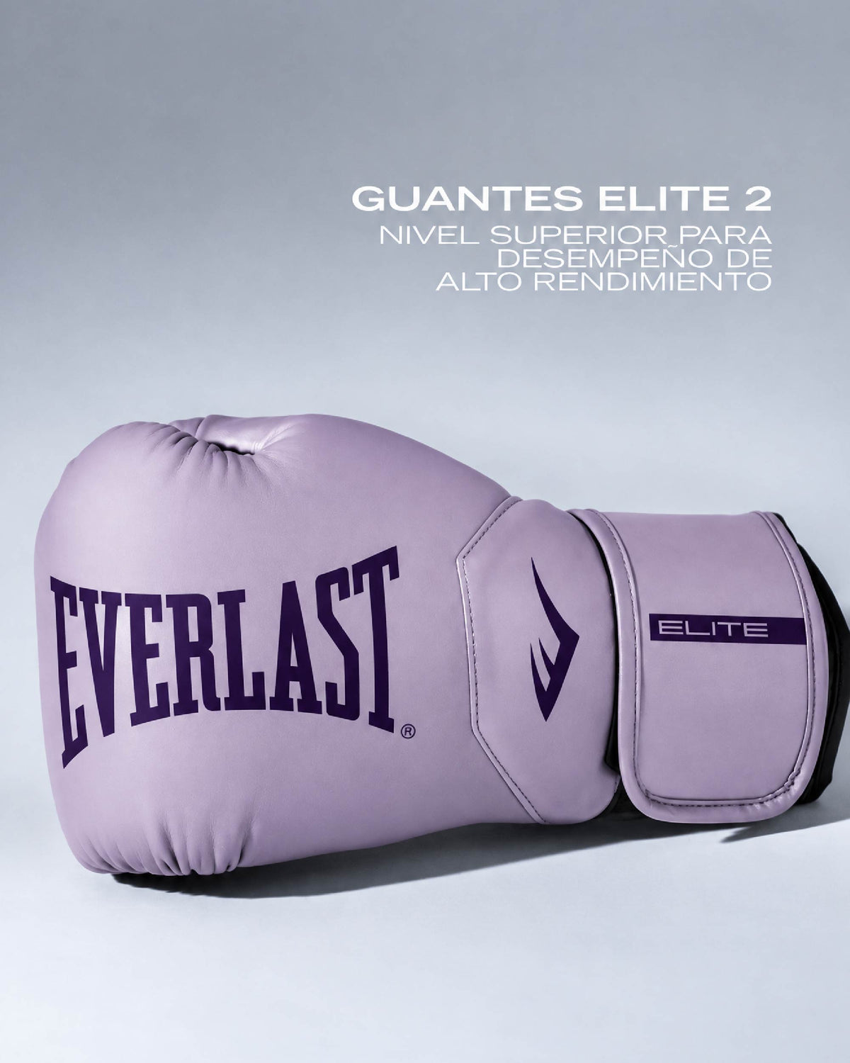 KIT WORLD CHAMPION LILA