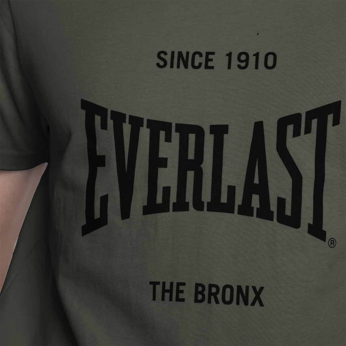 Playera Everlast Icon - Everlast MéxicoPlayera Everlast Icon